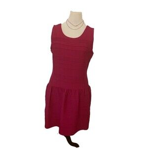 Worthington Stretch Reddish Pink Fit And Flare Cocktail Mini Dress Size Xl